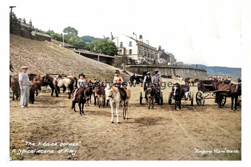 Ptc2209 yorks ponies - -,