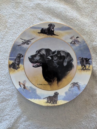 Labrador hanging wall - , plate