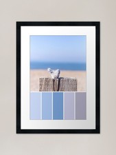Pebble Heart Colour Palette in