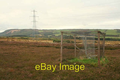 Photo 6x4 larsen - trap, awaits