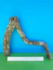 CORK BARK BRANCH 37CM LEOPARD