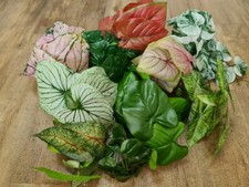 Artificial Tropical Foliage