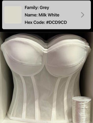Stunning transparent mesh - stunning,