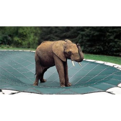 Loop loc swimming - loop-loc, pool