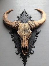 Buffalo Skull Wall Art - 3D