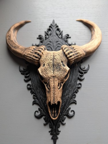 Buffalo skull wall - -, 3d