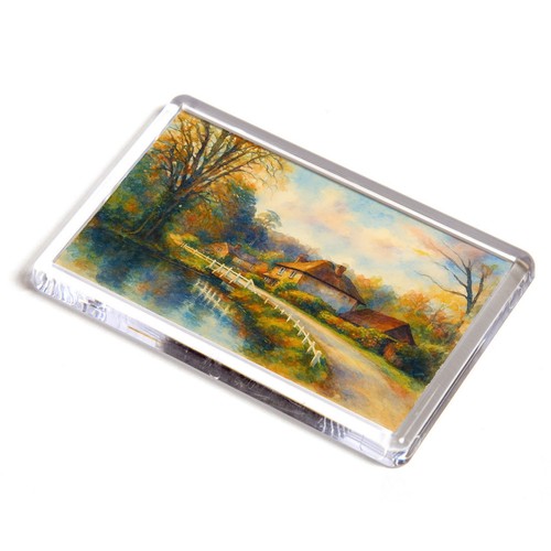Fridge magnet stella - fridge,