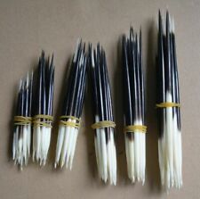 15x Porcupine Quills Jewelr