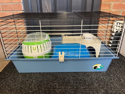 Guinea pig cage - pig,