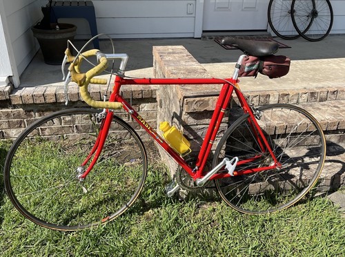 1984 masi gran criterium - masi,
