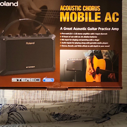 Roland acoustic chorus - roland,