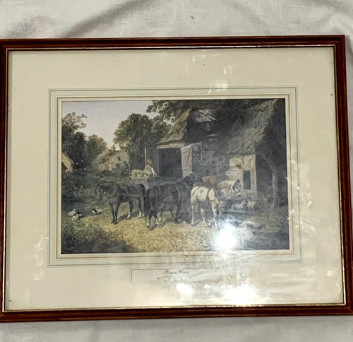 Print herring jnr - f,