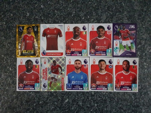 Panini premier league stickers - premier,