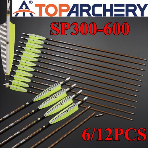 12x pure carbon arrows - 6/12x,