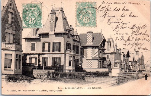 Lion sur mer - mer,