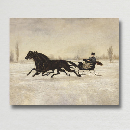 Vintage horse drawn sleigh - vintage,