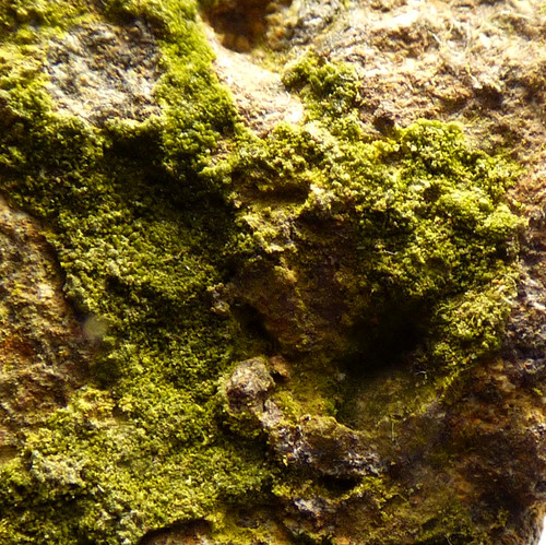 Pyromorphite white rake - pyromorphite,