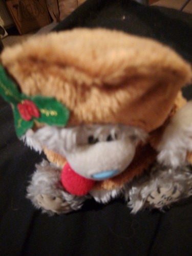 You tatty teddy - you,