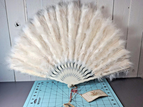 Antique victorian feather - antique,