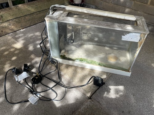 Fluval spec19 fishtank - with, 2
