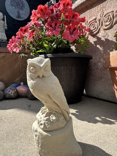 Cute small owl rock - cute,
