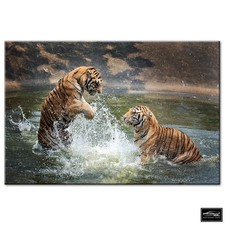 Animals Tigers Playing   BOX
