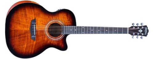 Washburn wcg12fce electro - washburn,