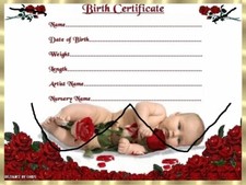 RED ROSES BABY BIRTH
