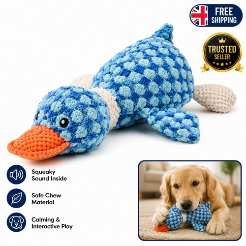 Pet dog chew toys - dog,