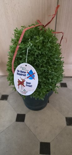 Artificial faux boxwood - artificial/faux,