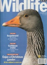 BBC wildlife magazine-DEC