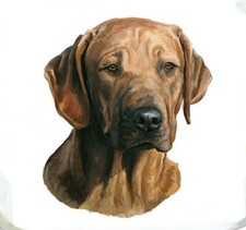 Rhodesian Ridgeback Tote Bag