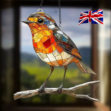 Large Proud Robin Bird