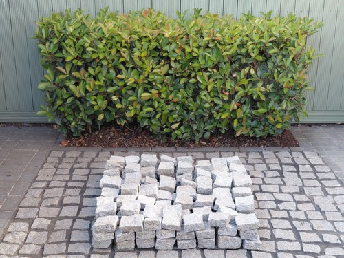 Speckled grey granite setts - speckled, in