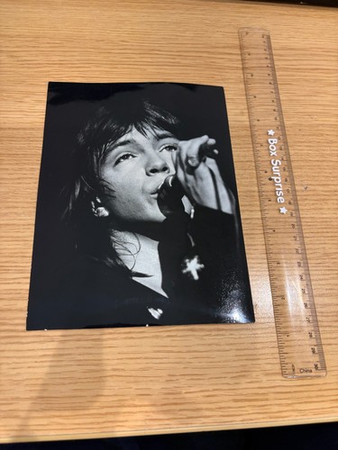 David cassidy partridge family - david,