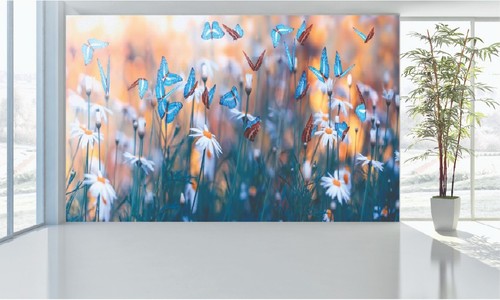 Blue butterflies wall murals - butterflies,