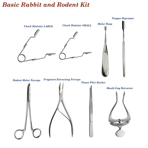 Veterinary instruments basic - instruments,
