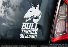 English Bull Terrier Car
