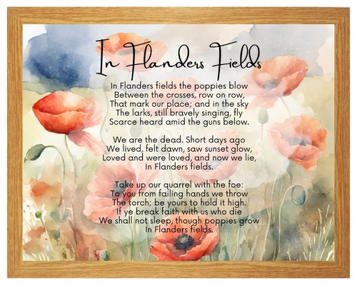 Flanders fields where - in,