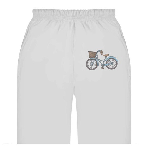 Dutch bike with - 'dutch,