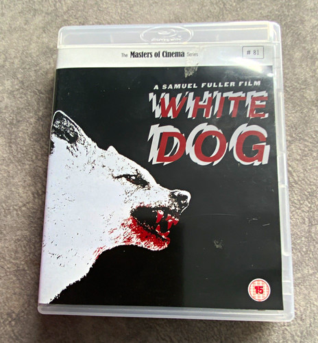 White dog masters - dog,