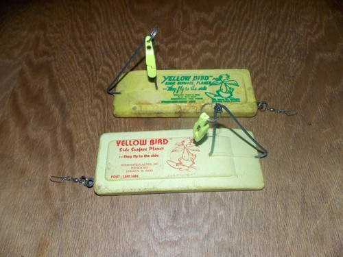 Yellow bird planer - bird,