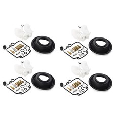 Carburetor Repair Kit Float