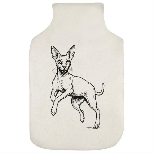 Cornish rex cat hot - 'cornish,