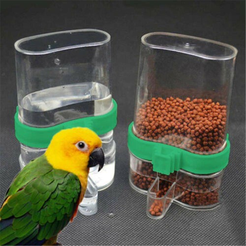 Bird water drinker - bird, &