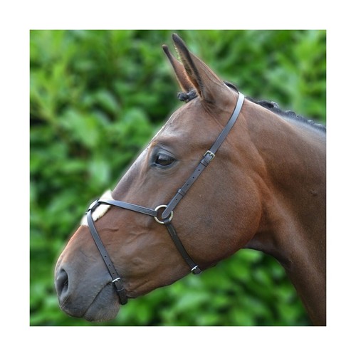 Equestrian black leather - hy,