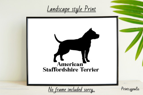 American staffordshire terrier - staffordshire,