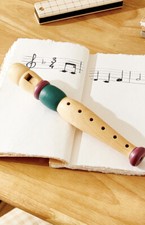 zara home kids wooden flute