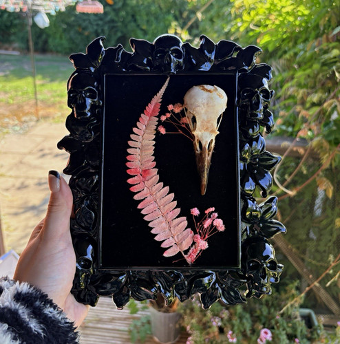 Ornate gothic crow skull - ornate,