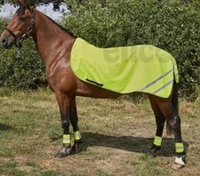 Elico Aurora Reflective
